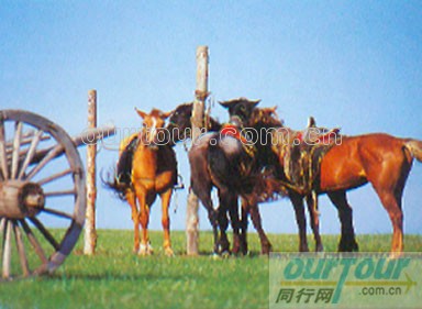 呼伦贝尔金帐汗蒙古部落天气 呼伦贝尔金帐汗蒙古部落天气