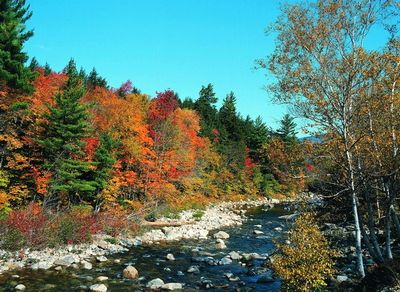 南宁凤凰山天气 南宁凤凰山天气