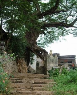 桂林榕津千年古街天气 桂林榕津千年古街天气