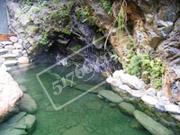 玉林博白温罗温泉天气 玉林博白温罗温泉天气