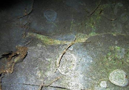 来宾古海底迷宫天气 来宾古海底迷宫天气