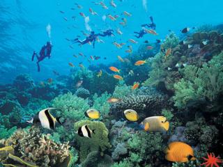 三亚亚龙湾海底世界天气 三亚亚龙湾海底世界天气