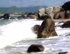 海口儋州龙门激浪天气 海口儋州龙门激浪天气