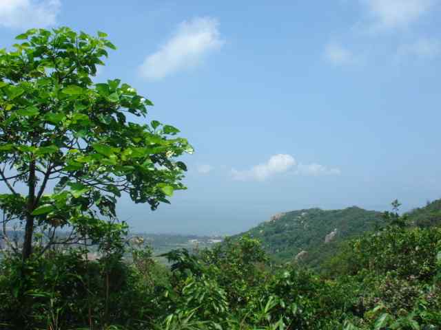 海口万宁东山岭天气 海口万宁东山岭天气