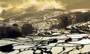 红河元阳观音山天气 红河元阳观音山天气