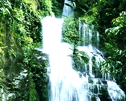 红河屏边大围山天气 红河屏边大围山天气