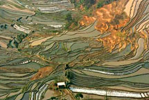 红河元阳箐口哈尼族民俗村天气 红河元阳箐口哈尼族民俗村天气