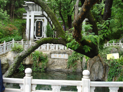 大理蝴蝶泉公园天气 大理蝴蝶泉公园天气