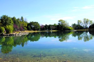 大理洱海公园天气 大理洱海公园天气