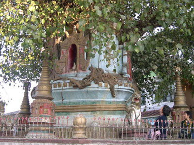 德宏芒市树塔相缠天气 德宏芒市树塔相缠天气