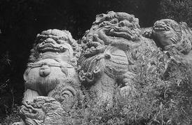 丽江剑川满贤林天气 丽江剑川满贤林天气