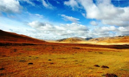 川西红原天气 川西红原天气