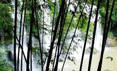 荔波喀斯特森林天气 荔波喀斯特森林天气