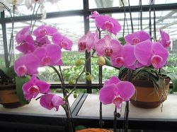 重庆皇田现代农业观光园天气 重庆皇田现代农业观光园天气