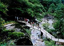 江夏青龙山森林公园天气 江夏青龙山森林公园天气