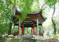 岳麓半山亭天气 岳麓半山亭天气