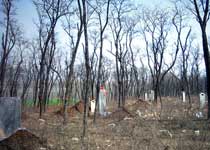 湘潭毛泽东双亲墓天气 湘潭毛泽东双亲墓天气