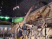 北碚恐龙遗址 北碚恐龙遗址