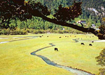 木里王国天气 木里王国天气