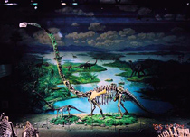 宜宾自贡天气 宜宾自贡天气