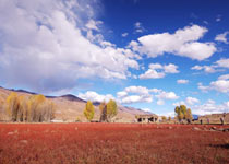 稻城傍河与色拉天气 稻城傍河与色拉天气