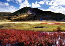 稻城俄初山天气 稻城俄初山天气