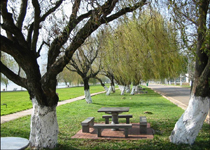 西山海埂公园天气 西山海埂公园天气