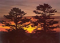 玉龙老君山风景区天气 玉龙老君山风景区天气