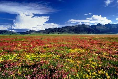 甘孜川西高寒草原天气 甘孜川西高寒草原天气