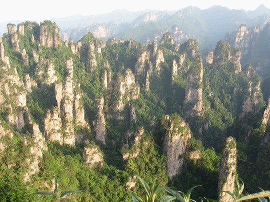 张家界森林公园天气 张家界森林公园天气