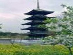 武汉湖光阁天气 武汉湖光阁天气