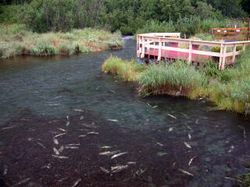 武汉观鱼台天气 武汉观鱼台天气
