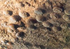 十堰青龙山恐龙蛋化石群天气 十堰青龙山恐龙蛋化石群天气