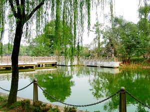 常德滨湖公园天气 常德滨湖公园天气