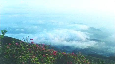益阳安化红岩天气 益阳安化红岩天气
