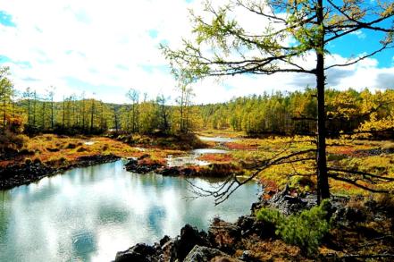 宜宾蜀南竹海天气 宜宾蜀南竹海天气