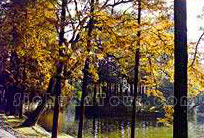 达州宣汉百里峡天气 达州宣汉百里峡天气