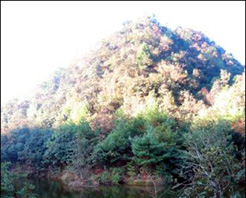 六盘水罗咪期天气 六盘水罗咪期天气