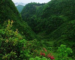 遵义飞鸽林场天气 遵义飞鸽林场天气