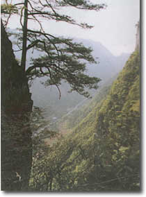 遵义娄山关天气 遵义娄山关天气