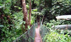 遵义中亚热带自然保护区天气 遵义中亚热带自然保护区天气