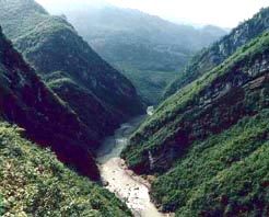 遵义大沙河天气 遵义大沙河天气
