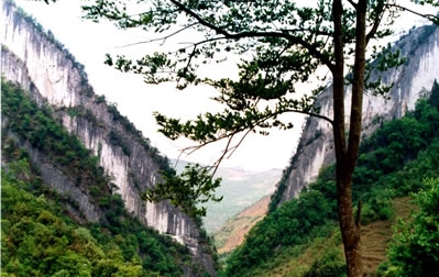 遵义绥阳宽阔水天气 遵义绥阳宽阔水天气