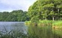 凯里渔洞溶洞天气 凯里渔洞溶洞天气