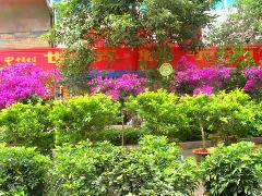 昆明岩泉风景区 昆明岩泉风景区