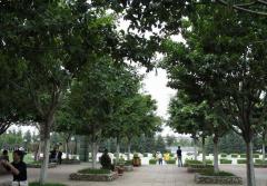 昆明宝海公园天气 昆明宝海公园天气