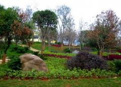 云南关上公园天气 云南关上公园天气