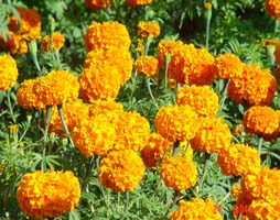 曲靖沾益珠江源天气 曲靖沾益珠江源天气