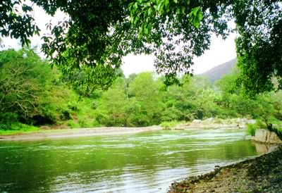 红河南溪河天气 红河南溪河天气