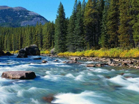 西安黑河森林公园天气 西安黑河森林公园天气